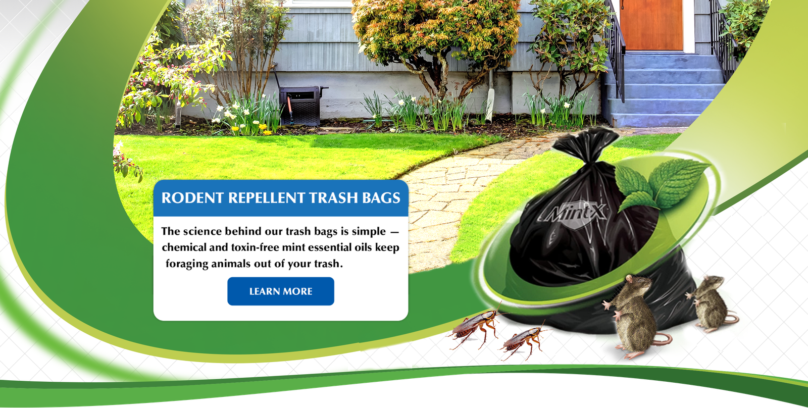 slide_3_for_widescreen-1